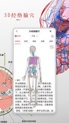 3DBody解剖精简版