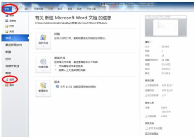 Word 2010中插入复选框的方法步骤截图