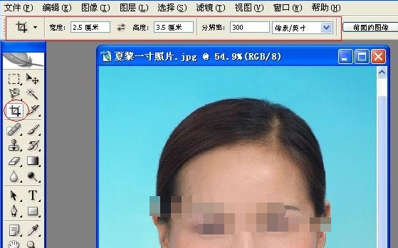 Photoshop做出一寸照片的操作教程截图