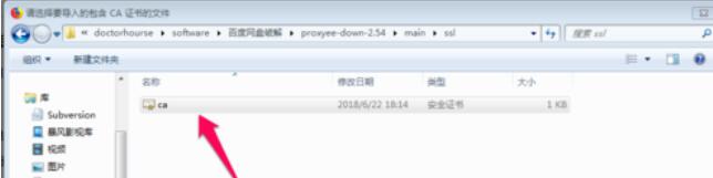 Proxyee Down安装使用具体操作流程截图