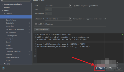 pycharm改中文字体的操作教程截图