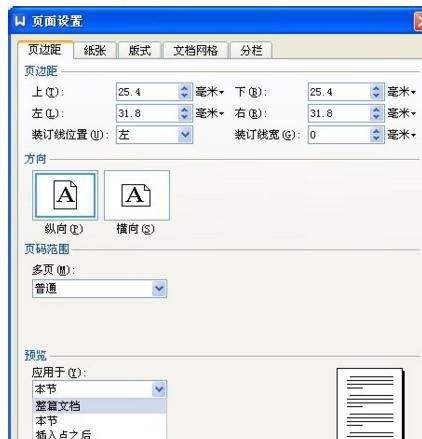 WPS调整文档页面板式的详细操作截图