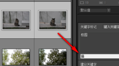 Lightroom为照片添上关键字的具体教程截图