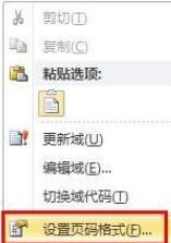 word2010设置页码从指定页开始的简单方法截图