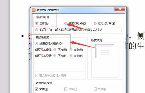 PowerPoint Viewer转成word文件的详细过程截图