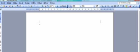 Microsoft Office 2003中插入页码的操作步骤截图