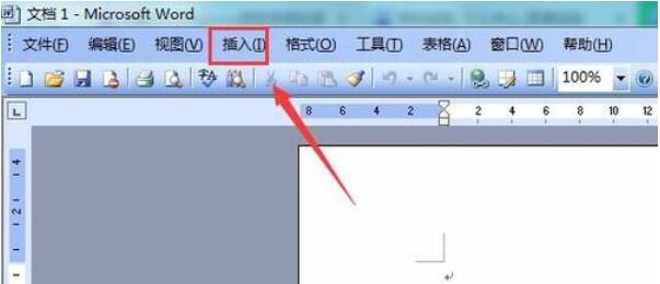 Microsoft Office 2003中插入页码的操作步骤截图