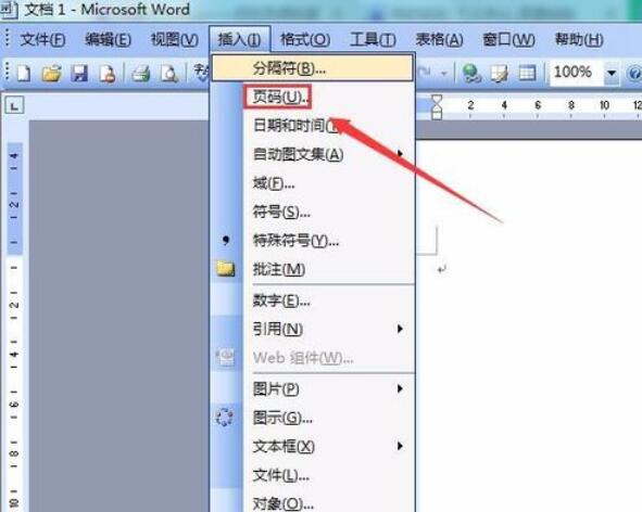 Microsoft Office 2003中插入页码的操作步骤截图