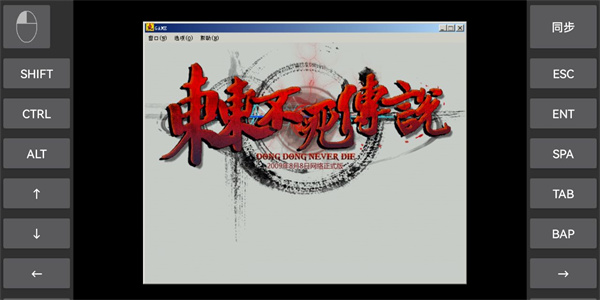 东东不死传说破解版