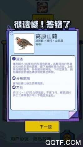 飞鸟乐园官方版