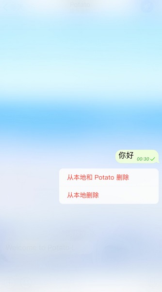 potato chat精简版