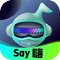 Say嗨元宇宙精简版